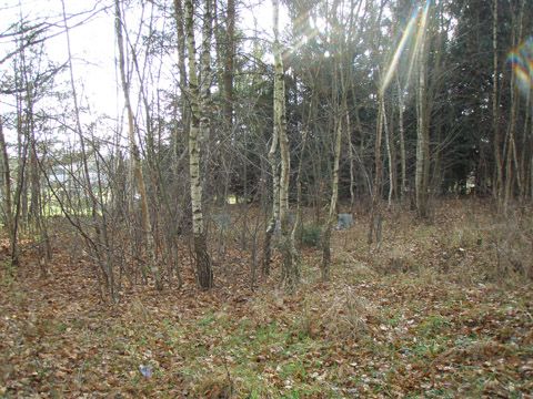 Foto 66